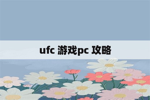 ufc 游戏pc 攻略